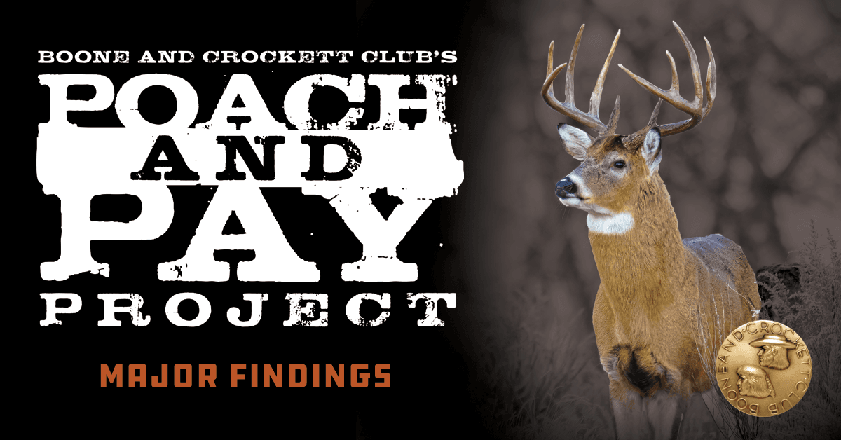 poach and pay header