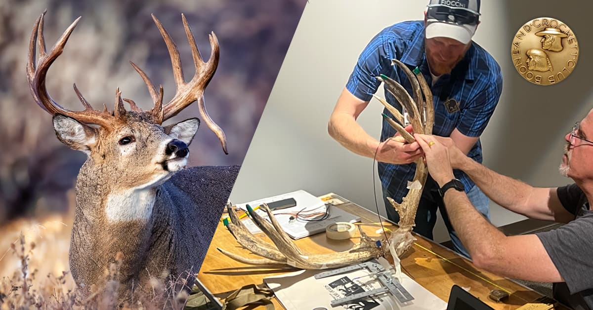 Free Ranging Big Game Press release